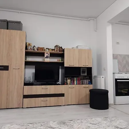 Garsoniera Marasti Апартаменты