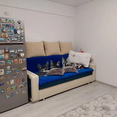 Апартаменты Garsoniera Marasti
